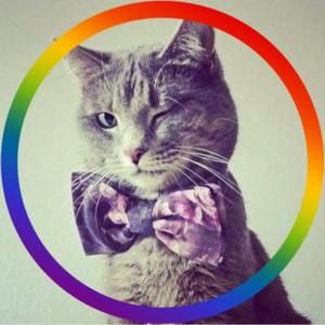 Meet your Posher, Allen